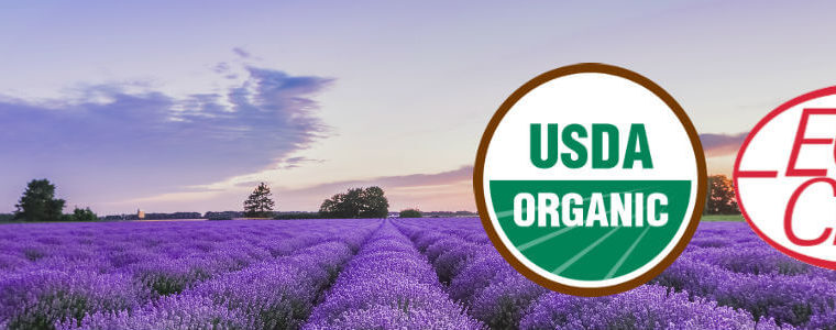 Plant Therapy Essential Oils USDA Certified Organic Cedar Wood Atlas Oil